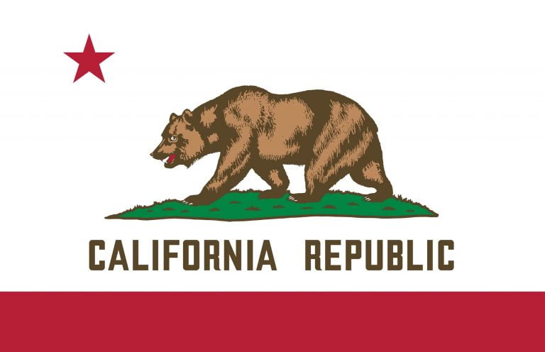 State Flag