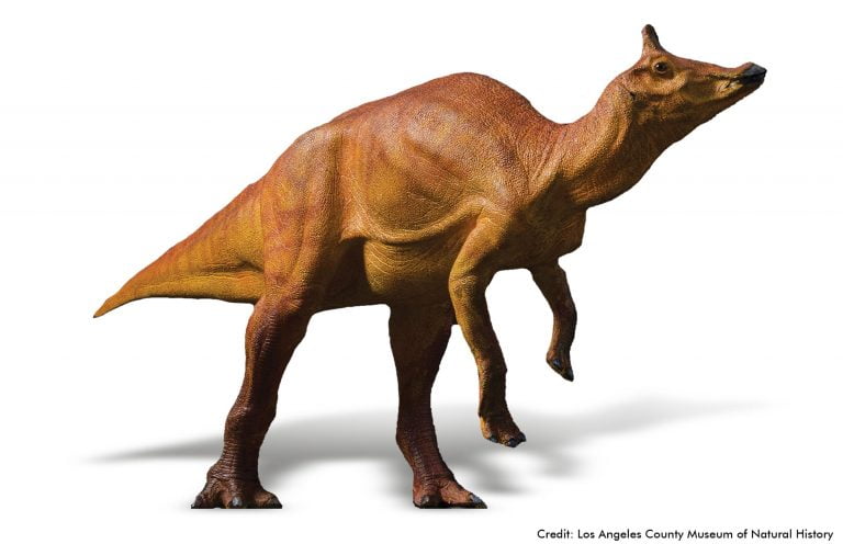 State Dinosaur